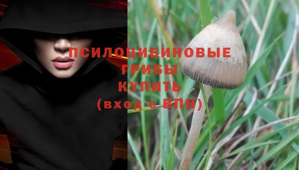 не бодяженный Михайлов