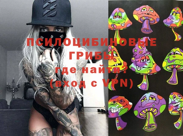 прущие грибы Алексин