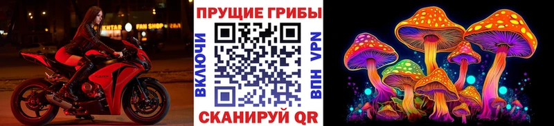 Галлюциногенные грибы мицелий KRAKEN как зайти Тюкалинск где купить наркотик